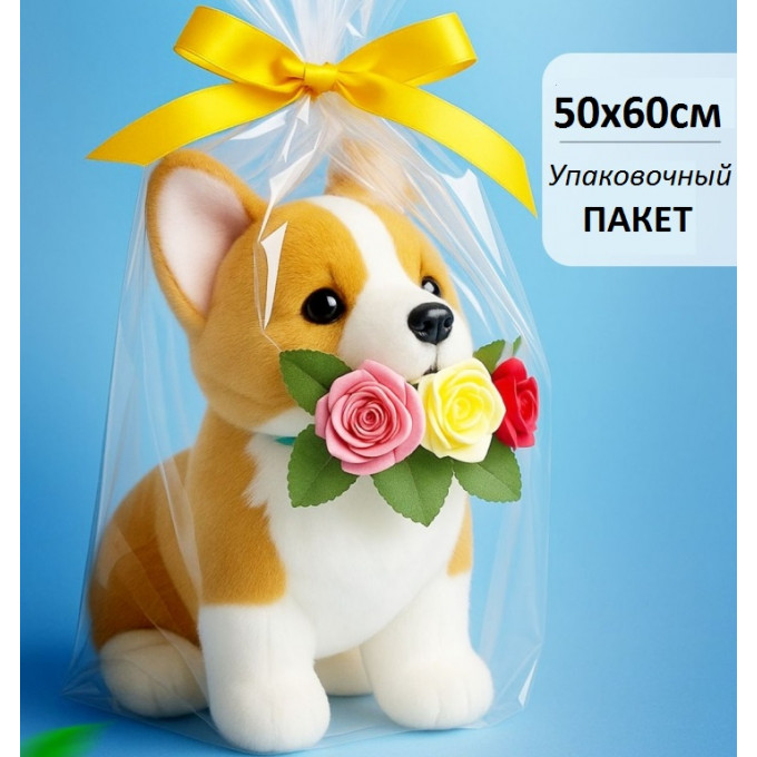 Пакет прозр/прозр 50*60 см