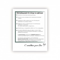 Открытка-фотокарточка Рекомендации по уходу за цветами