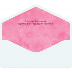 Конверт для денег Без надписи