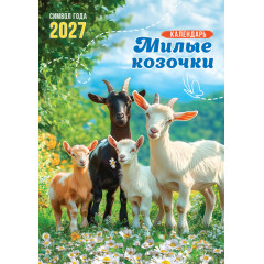 Календарь на спирали на 2027 год А3 Символ года. Милые козочки