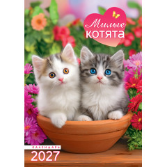 Календарь на спирали на 2027 год А3 Милые котята