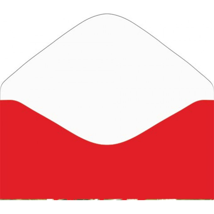 Конверт для денег Без надписи