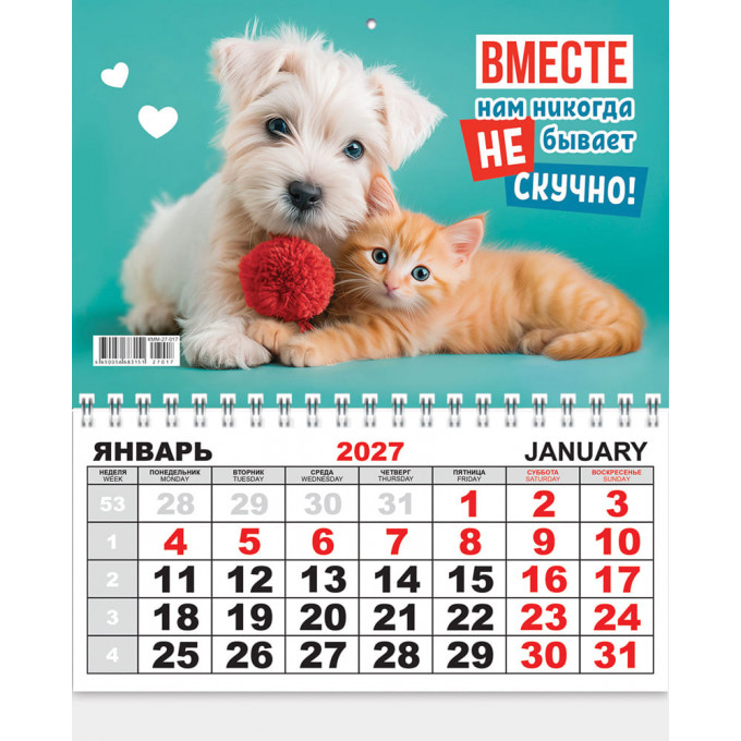 Календарь ОДНОБЛОЧНЫЙ на 2027 год Кошка и собака