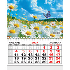 Календарь ОДНОБЛОЧНЫЙ на 2027 год Полевые цветы