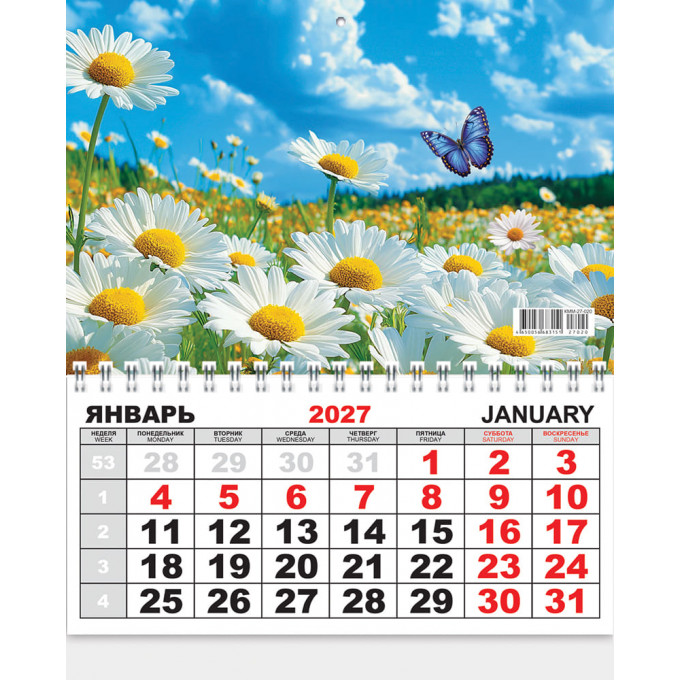 Календарь ОДНОБЛОЧНЫЙ на 2027 год Полевые цветы