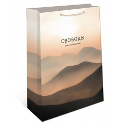 Пакет подарочный 11,5*14,5*6,5 см