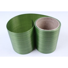 Лента Аспидистр 11,3см*10ярд