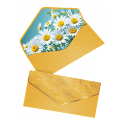 Конверт для денег без текста