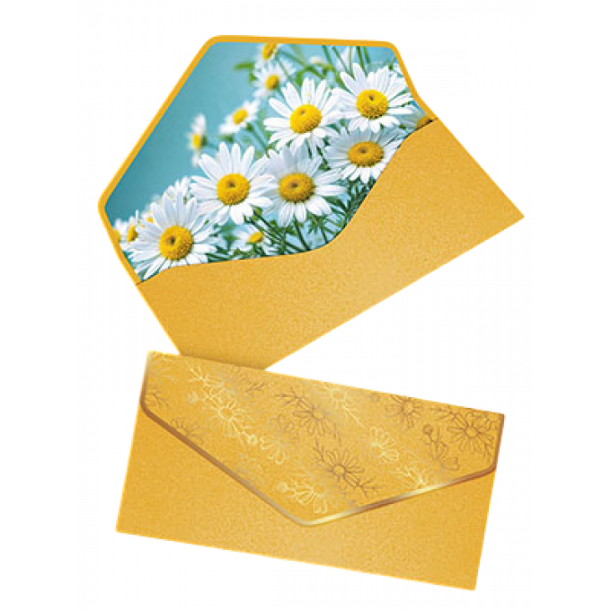 Конверт для денег без текста