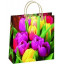 Сумка пластиковая мягкая 23*26 см Тюльпаны