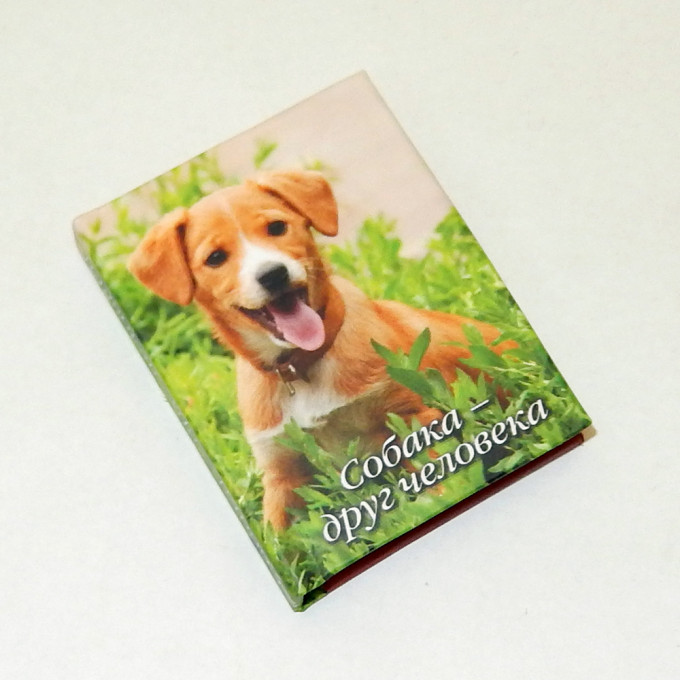 Магнит мини-книжка том 59 Собака друг человека (Собака в траве)