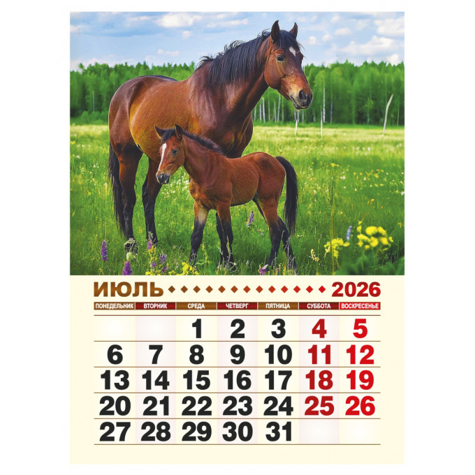 Календарь отрывной на магните на 2026 год "Год лошади"
