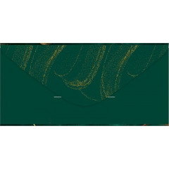 Конверт для денег без надписи