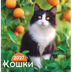 Календарь перекидной на скрепке на 2027 год Кошки