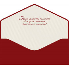 Конверт для денег Без надписи