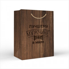 Пакет подарочный 18*22,7*10 см "Лучшему мужчине в мире"
