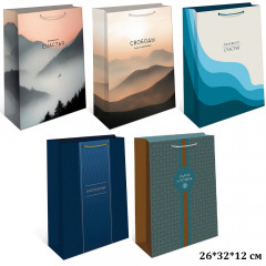 Пакет подарочный 26*32*12 см Мужской Микс (5в*1)