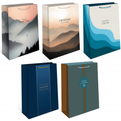 Пакет подарочный 26*32*12 см Мужской Микс (5в*1)