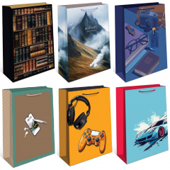 Пакет подарочный 26*32*12 см Мужской Микс (6в*1)