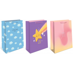 Пакет подарочный 33*42,5*10 см Микс (3в*2)