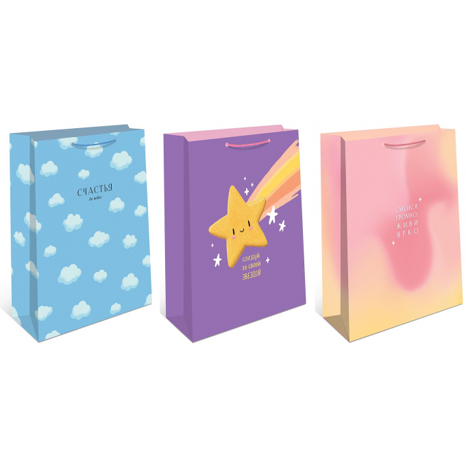 Пакет подарочный 33*42,5*10 см Микс (3в*2)