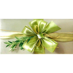 Конверт для денег Без надписи