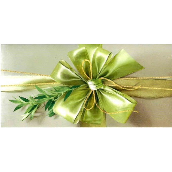 Конверт для денег Без надписи