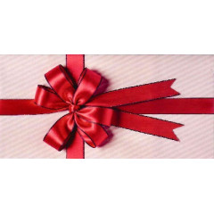 Конверт для денег Без надписи