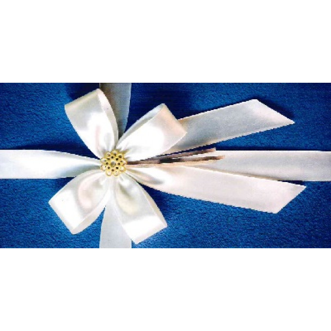 Конверт для денег Без надписи