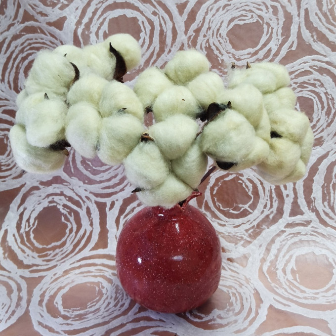 Сухоцвет Хлопок 10шт в 1 букете НАТУРАЛЬНЫЙ