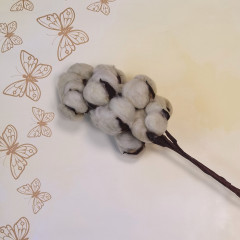 Сухоцвет Хлопок 10шт в 1 букете НАТУРАЛЬНЫЙ