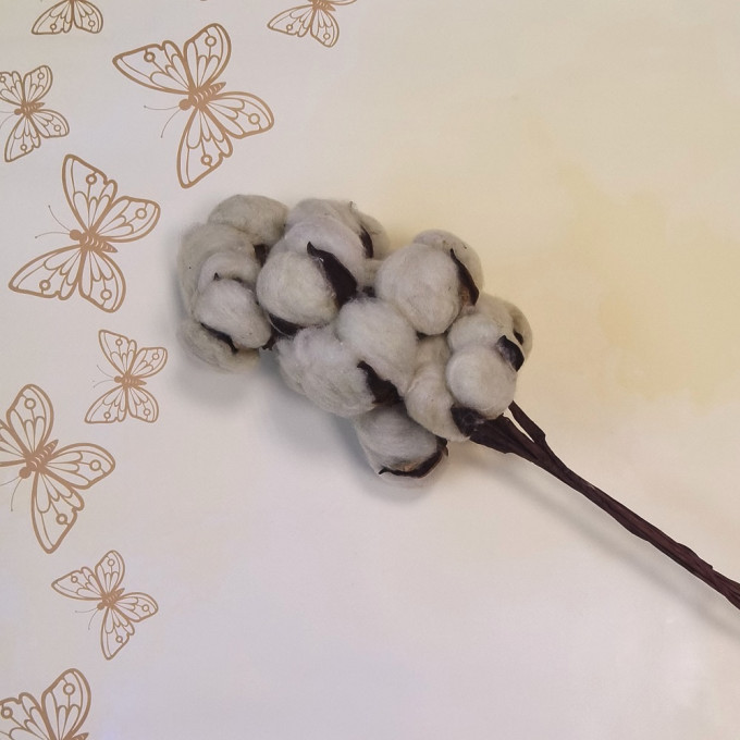 Сухоцвет Хлопок 10шт в 1 букете НАТУРАЛЬНЫЙ