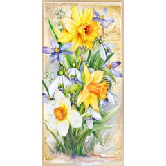 Конверт для денег "Без надписи"