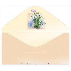 Конверт для денег "Без надписи"