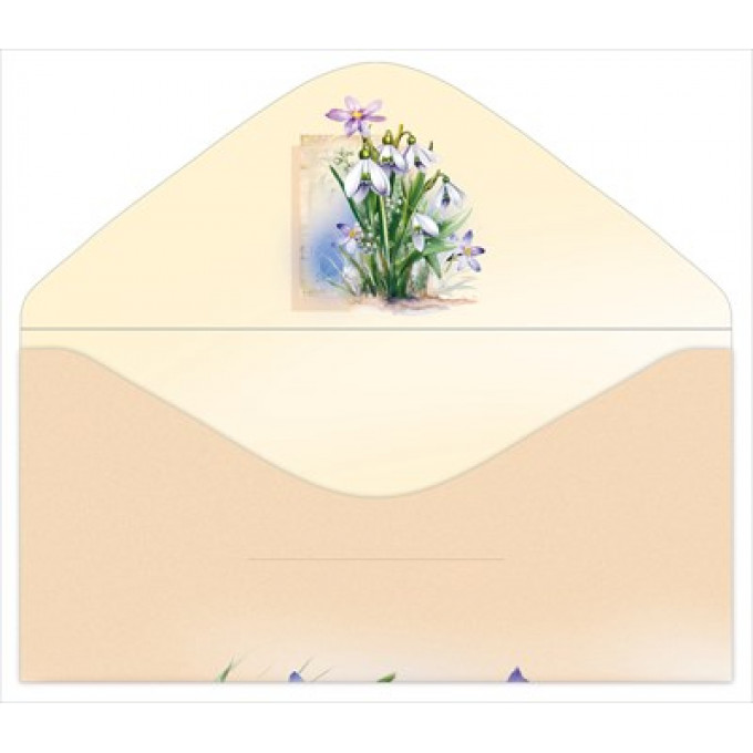 Конверт для денег "Без надписи"