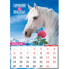 Календарь перекидной на спирали на 2026 год А3 Символ года. Купайтесь в радости и богатстве