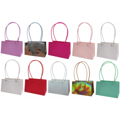 ПЛАЙМ пакет для цветов и подарков 22*10,5*13,5см (10в*1) АССОРТИ