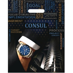 Пакет полиэтиленовый с вырубной ручкой 31х40 см Консул ламинация