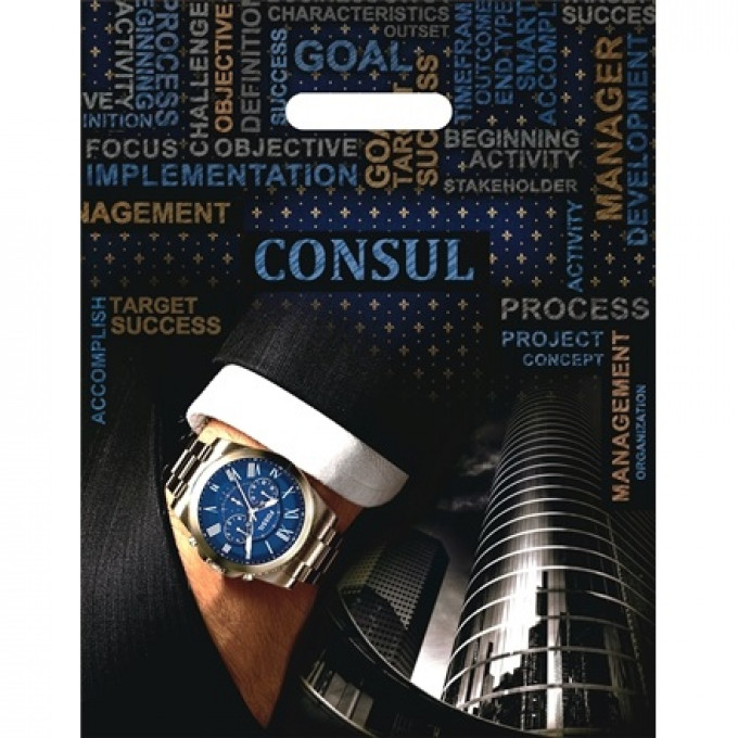 Пакет полиэтиленовый с вырубной ручкой 31х40 см Консул ламинация