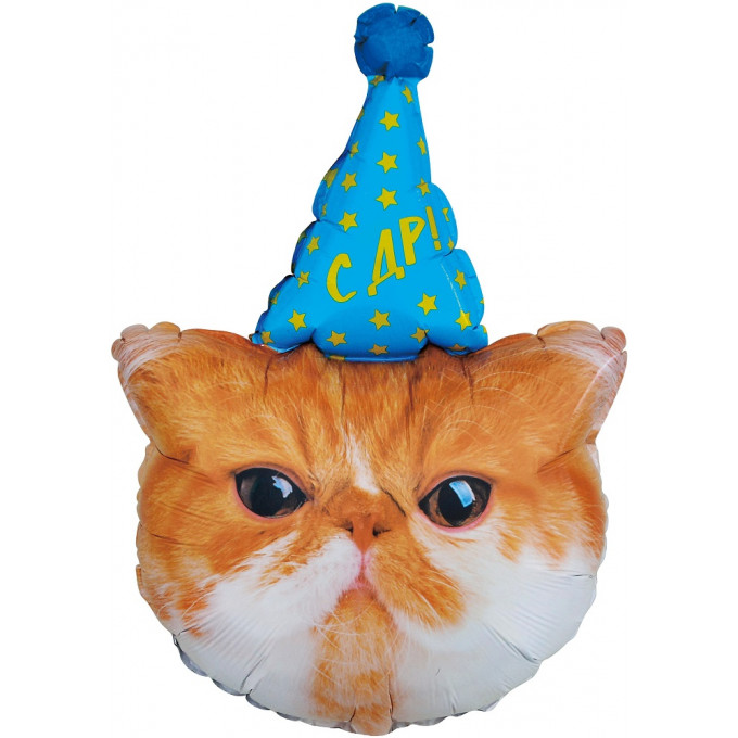 Воздушный шар фольгированный  Фигура 32"/81 см Котик в колпачке