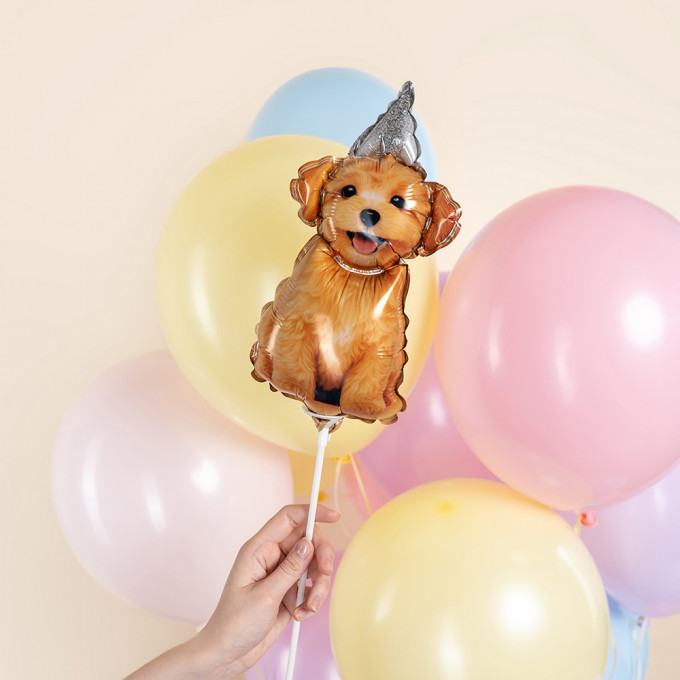 Воздушный шар фольгированный Мини-фигура 17"/43 см Песик в колпачке