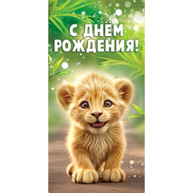 Конверт для денег С Днем рождения!