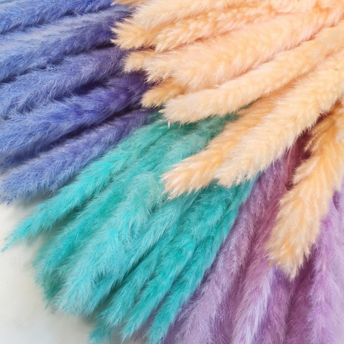 Сухоцвет Камыш 8шт/упак НЕЖНО-РОЗОВЫЙ