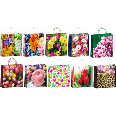 Сумка пластиковая мягкая 30*30 см Женский Микс (10в*1)