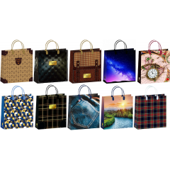 Сумка пластиковая мягкая 30*30 см Мужской Микс (10в*1)