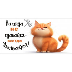 Конверт для денег "Никогда не сдавайся"