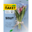 Пакет Конус 28*40 Стиль лаванда