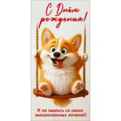 Конверт для денег "С Днём рождения! И не свались со своих эмоциональных качелей!"