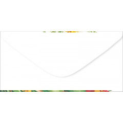 Конверт для денег "Без надписи"