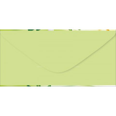 Конверт для денег "Без надписи"